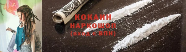 винт Лиски