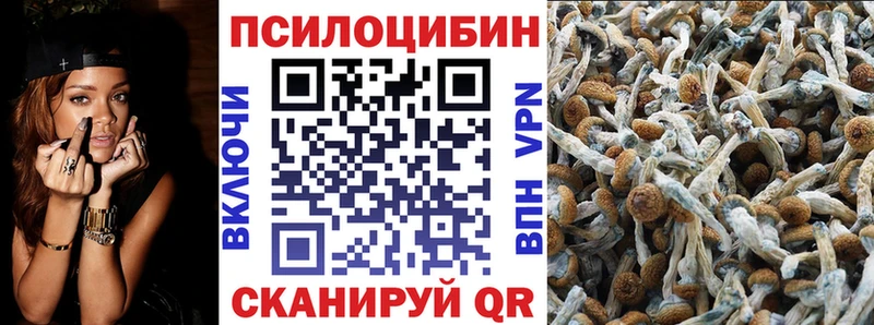 Галлюциногенные грибы прущие грибы  Купить где  Цимлянск 
